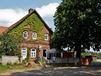 Foto: Die Kastanie